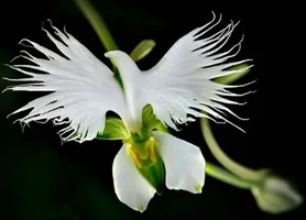 383e6fa7afddf3aa69ce2433f1296edc.jpg 383e6fa7afddf3aa69ce2433f1296edc.jpg