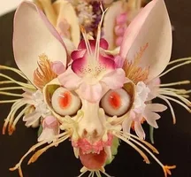 08db10c65967e7846714ba68f3d957dd.jpg 08db10c65967e7846714ba68f3d957dd.jpg