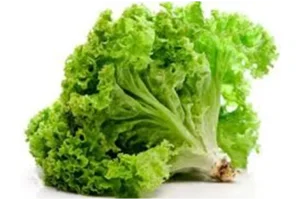 1649594204617.png 1649594204617.png