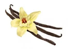 1649594225302.png 1649594225302.png