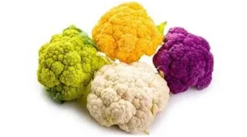 1649594311706.png 1649594311706.png