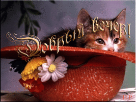 ДОбрый вечер.gif