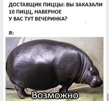 F7F3CB0A-58D2-43FD-97D9-D52A5DA2627D.jpeg