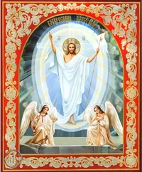 IMG_20220424_130443_671.webp IMG_20220424_130443_671.webp