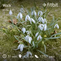 fitbitshare_1534687211.webp