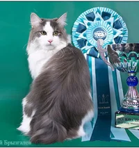 Screenshot_20220425-180556_Chrome.webp Screenshot_20220425-180556_Chrome.webp