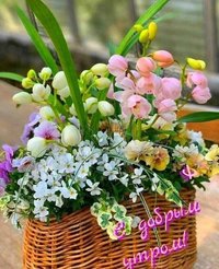IMG-62b59bcc2899d4b301bb0ba369e98a94-V.jpg