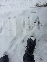 IMG_20220209_145147 (1).jpg