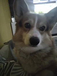 IMG_20220505_190747.webp IMG_20220505_190747.webp