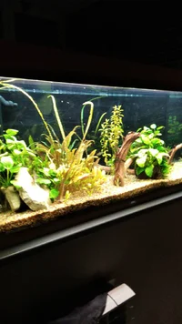 IMG-20200815-WA0029.jpg IMG-20200815-WA0029.jpg