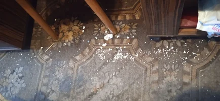 всё погибло.webp всё погибло.webp