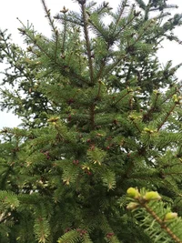 IMG_20220512_134518.webp IMG_20220512_134518.webp