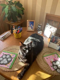 22C988CC-2D1F-4DF8-B176-AA15E78C898E.webp 22C988CC-2D1F-4DF8-B176-AA15E78C898E.webp