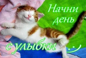 доб ут 16.03.webp