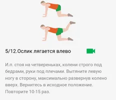 2. Ягодицы 005.webp