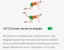 2. Ягодицы 010.webp