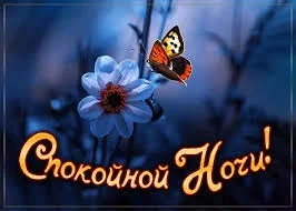 Без названия.webp