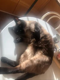 20220520_094718.webp 20220520_094718.webp