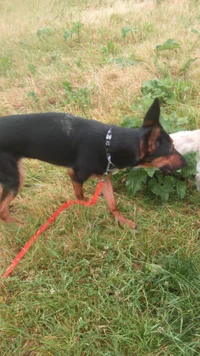 DSC_0637.webp DSC_0637.webp