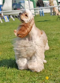 image.webp image.webp