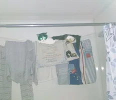 IMG_20220608_114130.jpg IMG_20220608_114130.jpg