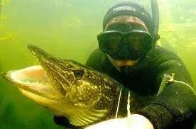 Без названия.webp