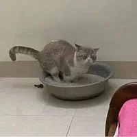 Без названия (1).webp