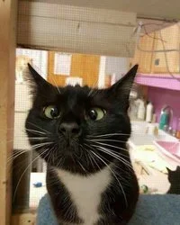 1609819-5a79bd69bdab21397ae512fd416f4ff2.jpg 1609819-5a79bd69bdab21397ae512fd416f4ff2.jpg