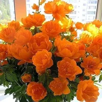 IMG_20220613_214641.webp IMG_20220613_214641.webp