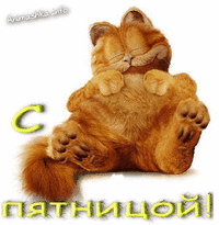 пятница.gif