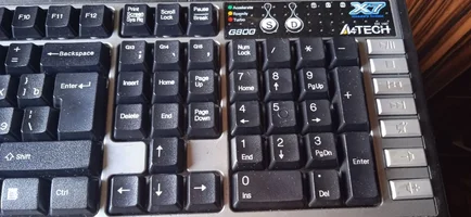 фрагмент чистой клавы.jpg фрагмент чистой клавы.jpg