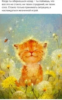 IMG_20220711_112952_294.webp IMG_20220711_112952_294.webp