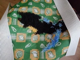 IMG_20220711_070801_copy_2048x1536.webp IMG_20220711_070801_copy_2048x1536.webp