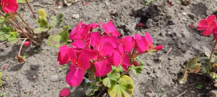 IMG_20220622_105934.webp IMG_20220622_105934.webp