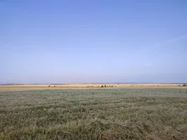 IMG_20220723_182629.jpg IMG_20220723_182629.jpg