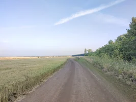 IMG_20220723_182517.jpg IMG_20220723_182517.jpg