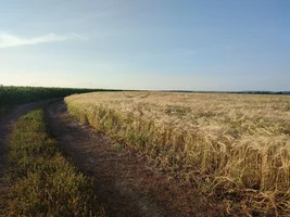 IMG_20220723_182354.jpg IMG_20220723_182354.jpg