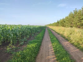 IMG_20220723_180742.jpg IMG_20220723_180742.jpg