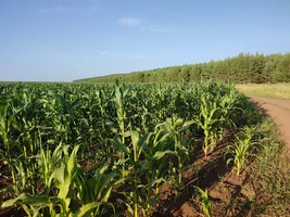 IMG_20220723_180155.jpg IMG_20220723_180155.jpg