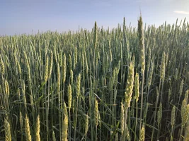 IMG_20220723_180036.jpg IMG_20220723_180036.jpg