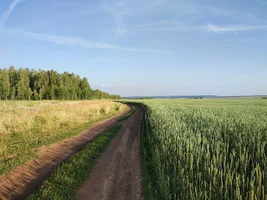 IMG_20220723_180104.jpg IMG_20220723_180104.jpg