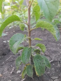 20220724_205256.webp 20220724_205256.webp