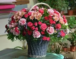 images (7).webp images (7).webp