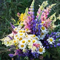 artworks-qiMr1eYehbpHUSiZ-kBTZdw-t500x500.webp artworks-qiMr1eYehbpHUSiZ-kBTZdw-t500x500.webp