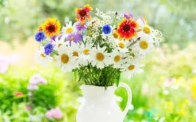 images (5).webp images (5).webp