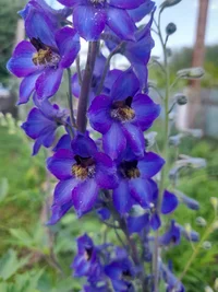 20220616_182650.jpg 20220616_182650.jpg