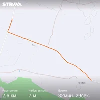 28 ходьба.webp