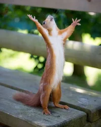 1659439663261.webp 1659439663261.webp