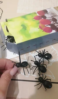 IMG_20220805_115757.webp IMG_20220805_115757.webp