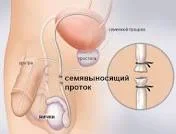 images.webp